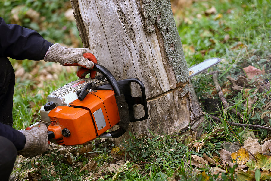 worker using a chainsaw